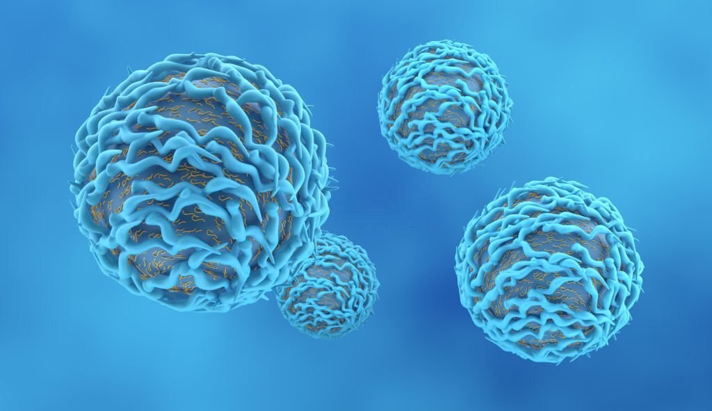 CD4
